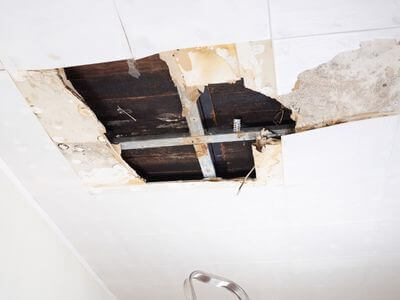 About UrbanBloom Pros - water damage restoration experts in Champaign